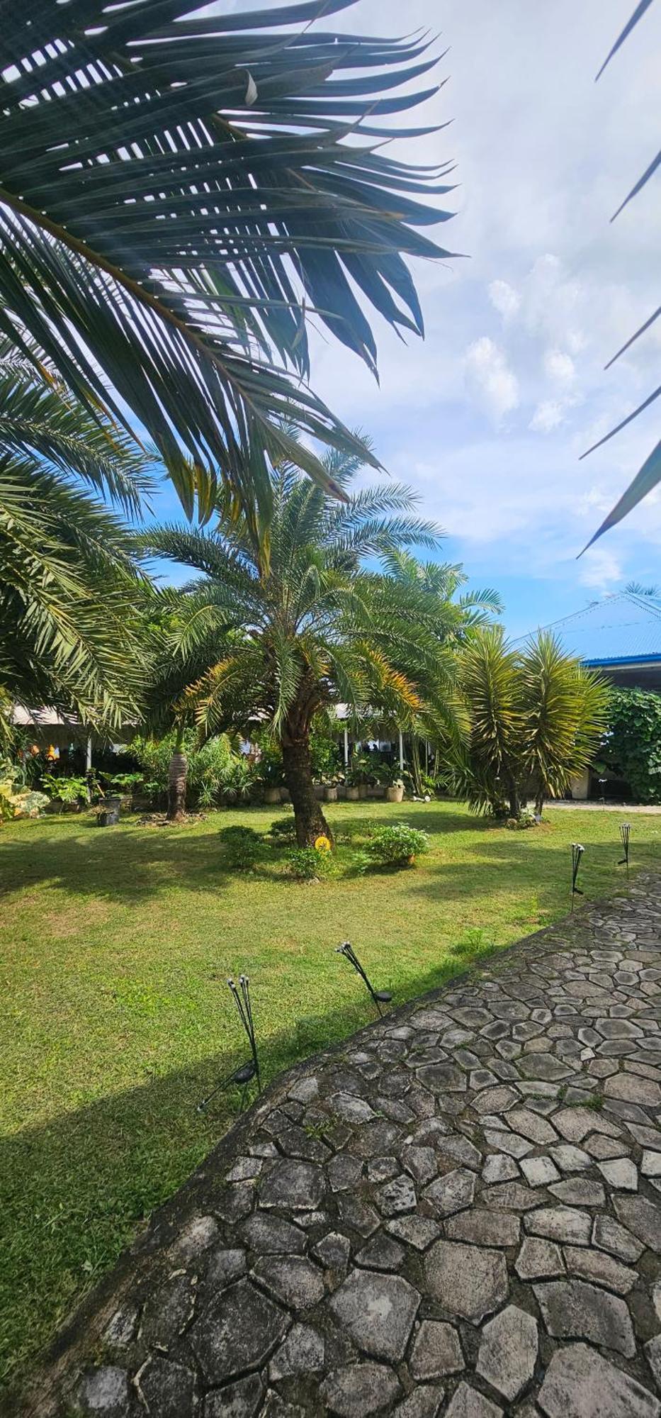 Palanas By The Sea Hotel Boljoon Exterior photo